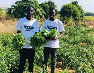 Cooperativa Agrícola Jovens Visionários